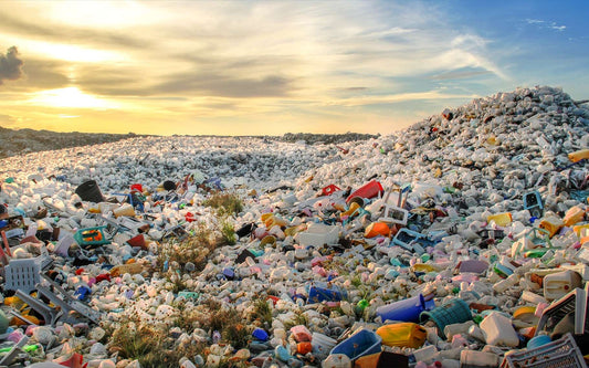 La pollution plastique : un fléau mondial